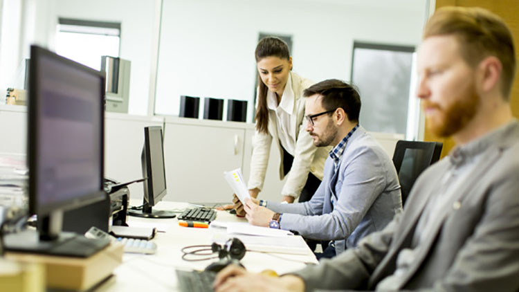 Two office workers collaborating.